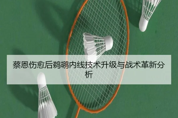 蔡恩伤愈后鹈鹕内线技术升级与战术革新分析